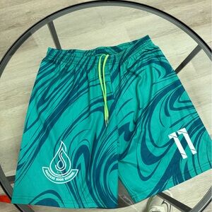 Source Unknown Teal and Dark Blue Men Shorts